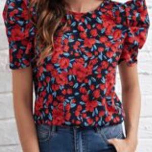 Multi-Color Blouse with Puffed Sleeves